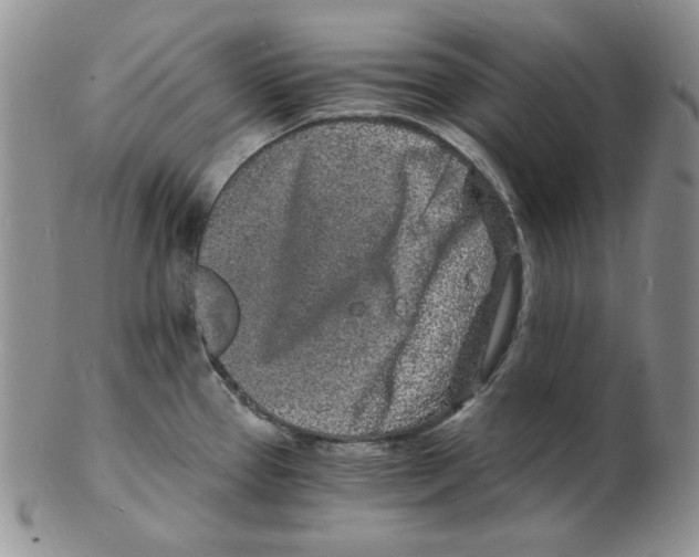 X0000102221337200808221237