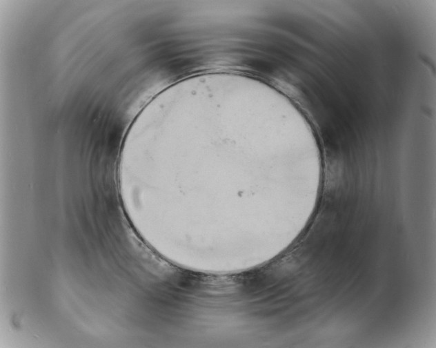 X0000102221338200808221237