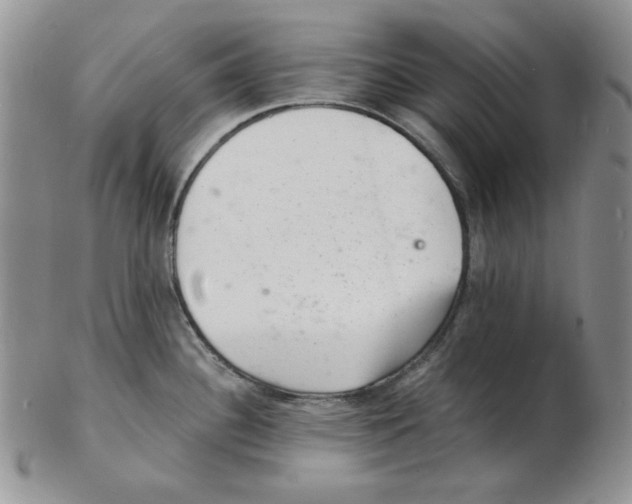 X0000102221340200808221237