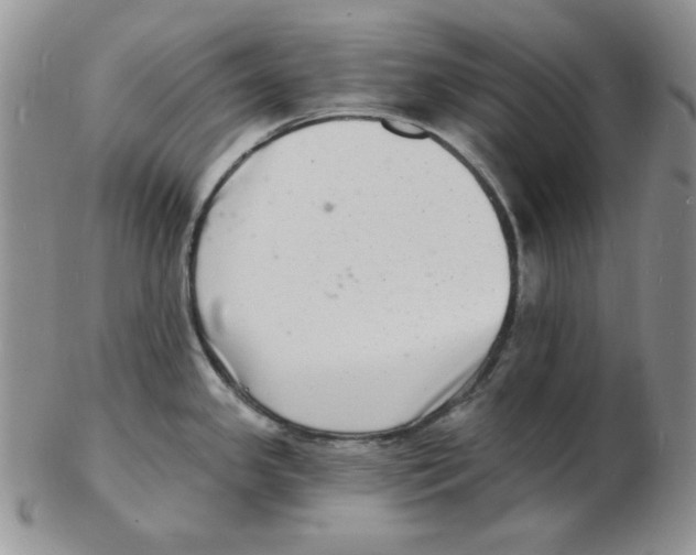 X0000102221341200808221237