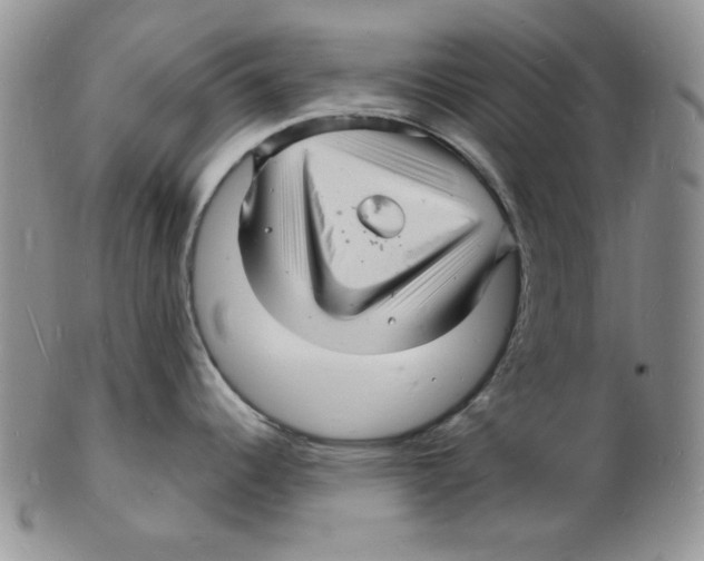 X0000102221344200808221237