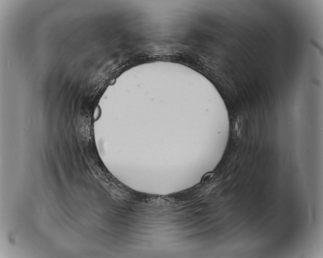 X0000102221348200808221236