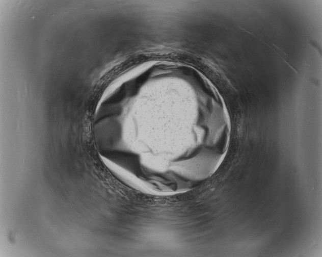 X0000102221350200808221236