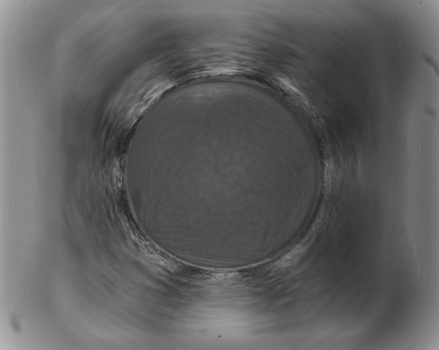 X0000102221353200808221236