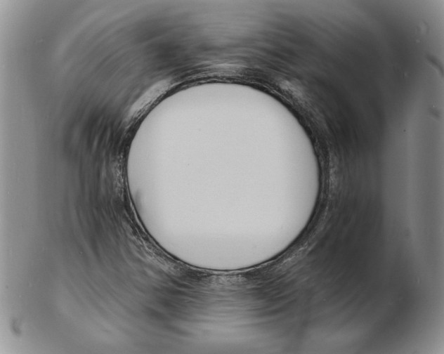 X0000102221354200808221236