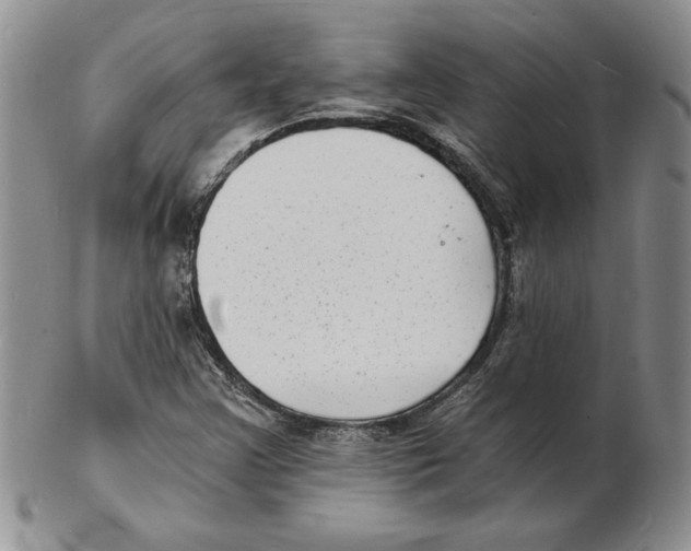 X0000102221355200808221236