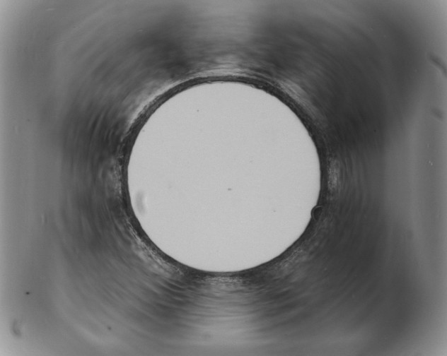 X0000102221356200808221236