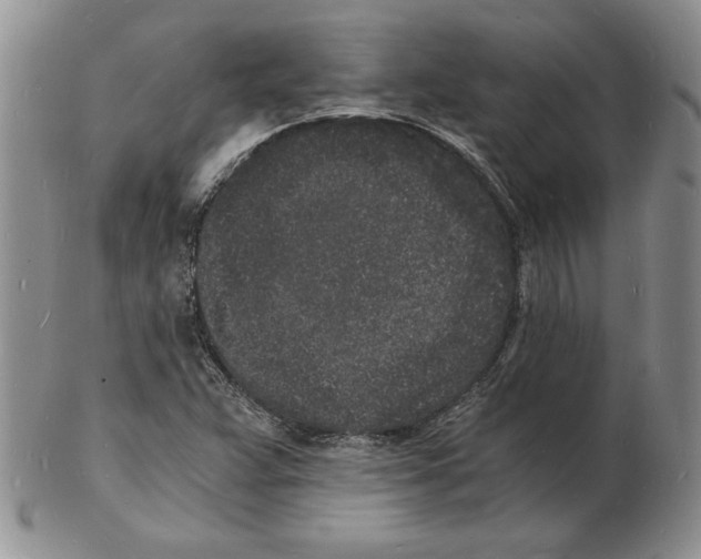 X0000102221359200808221236