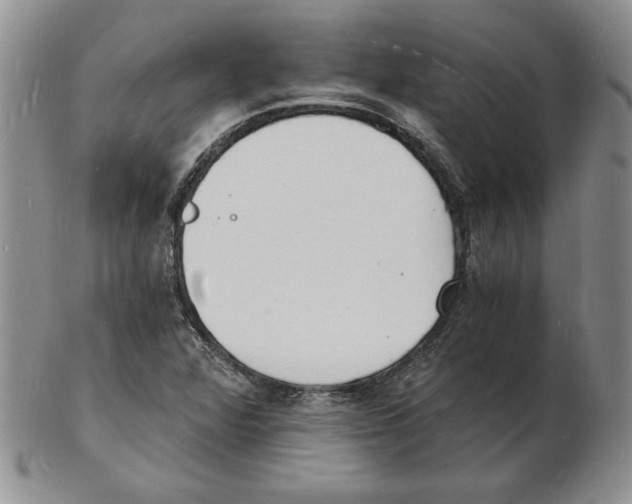 X0000102221360200808221236