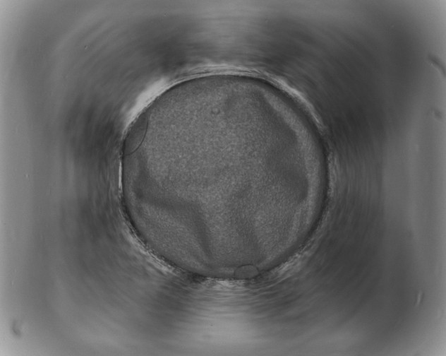 X0000102221365200808221236