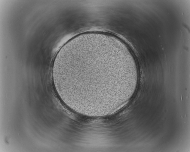 X0000102221367200808221236