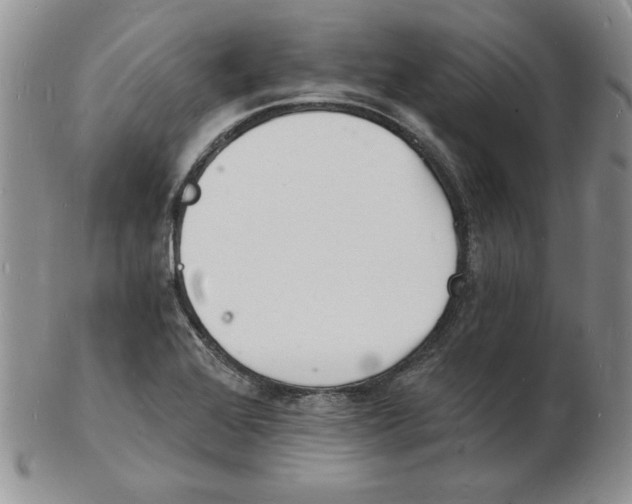 X0000102221368200808221236