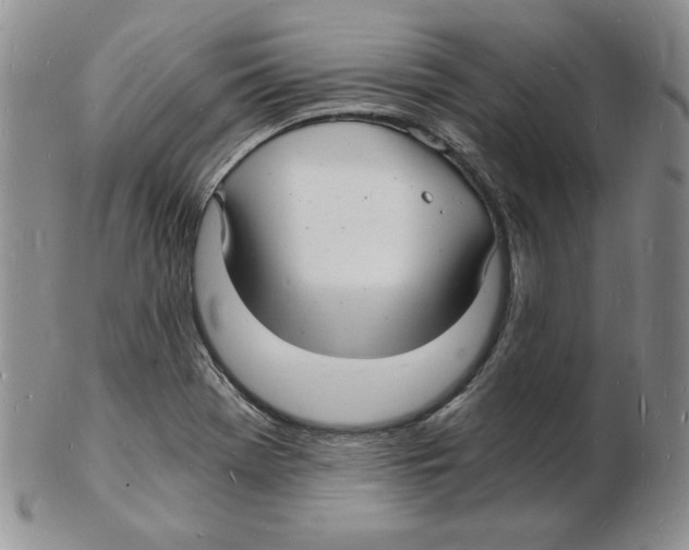 X0000102221369200808221236