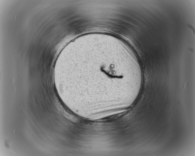 X0000102221371200808221236