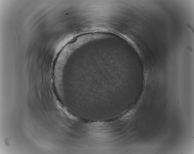 X0000102221373200808221236