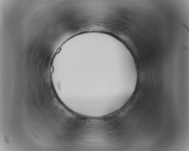 X0000102221374200808221236