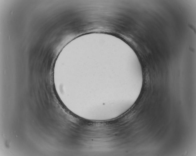 X0000102221375200808221236