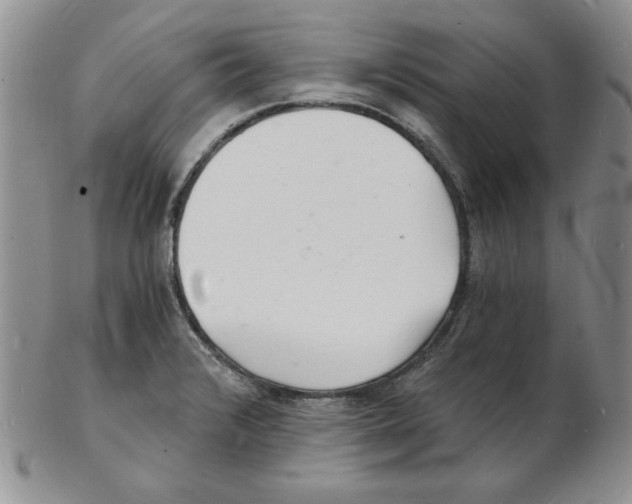 X0000102221376200808221236