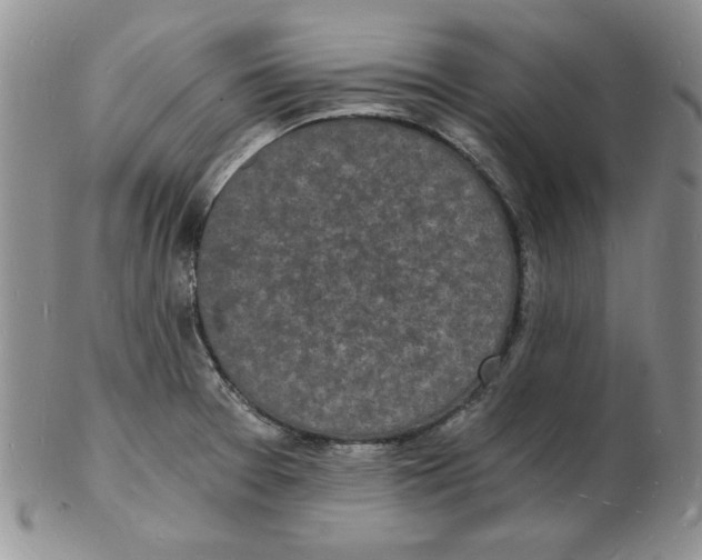 X0000102221377200808221236