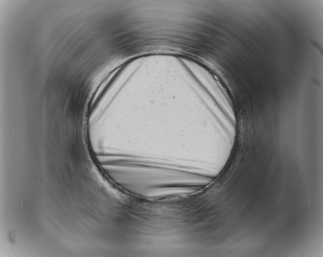 X0000102221379200808221236