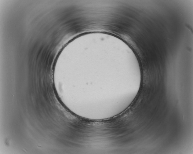 X0000102221380200808221236