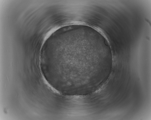 X0000102221381200808221236