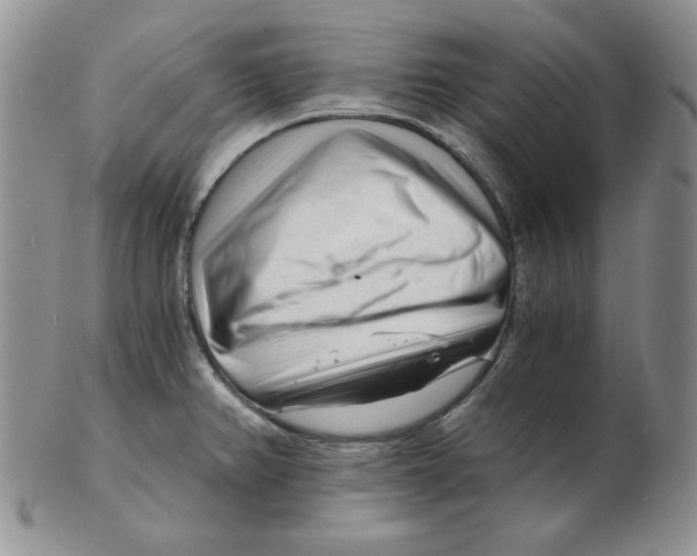 X0000102221382200808221236