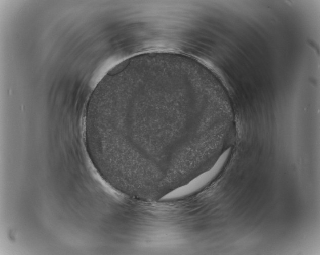 X0000102221383200808221236