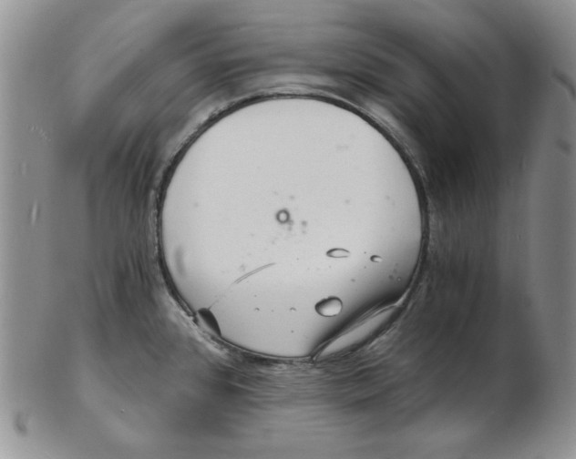 X0000102221384200808221236