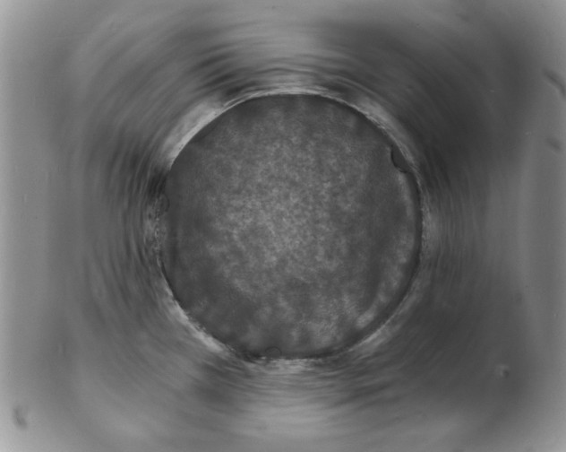 X0000102221385200808221236