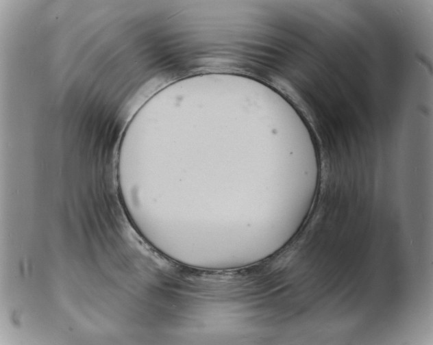 X0000102221386200808221236