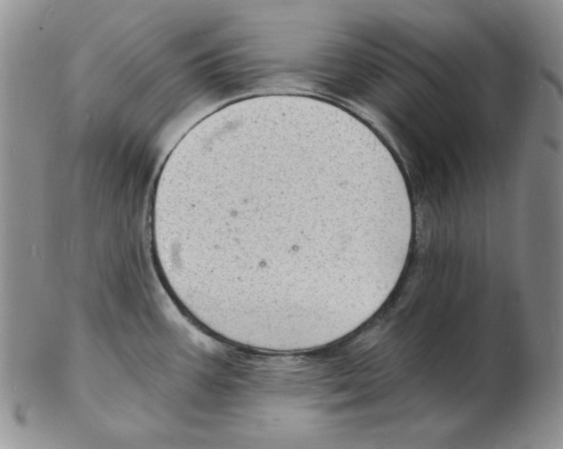 X0000102221387200808221236