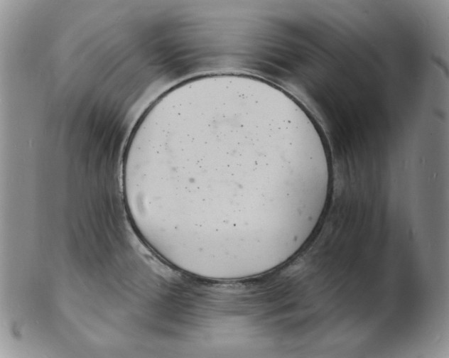 X0000102221388200808221236