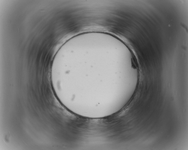 X0000102221390200808221236