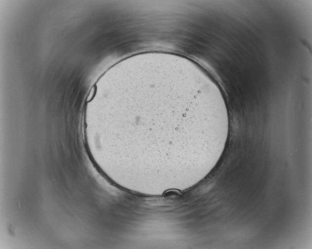 X0000102221391200808221236