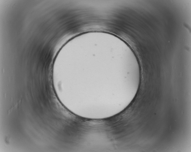 X0000102221392200808221236