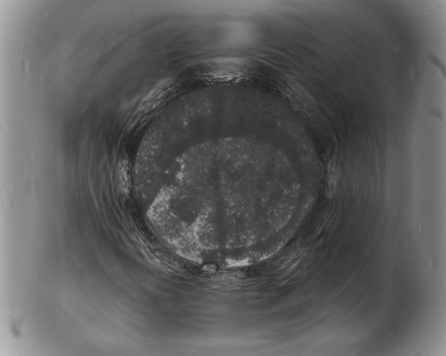 X0000102221394200808221235