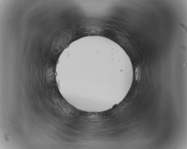 X0000102221395200808221235