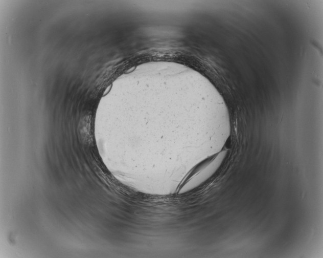 X0000102221396200808221235