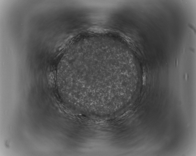 X0000102221397200808221235