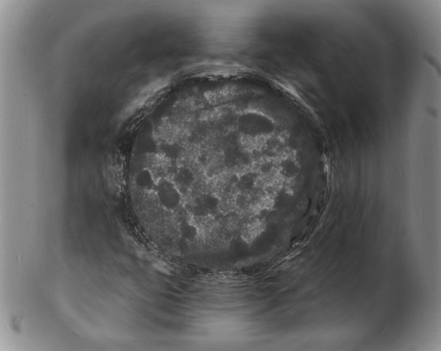 X0000102221399200808221235