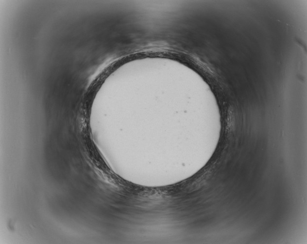 X0000102221400200808221235