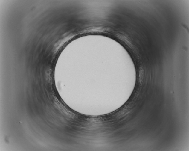 X0000102221404200808221235