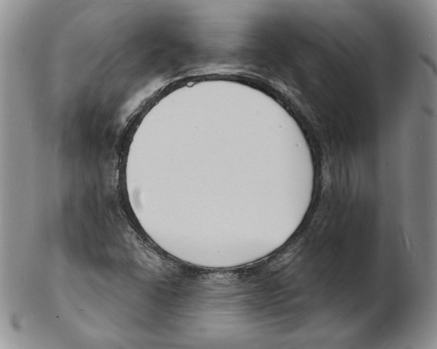 X0000102221406200808221235