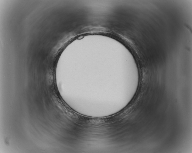 X0000102221407200808221235