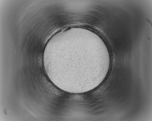 X0000102221409200808221235