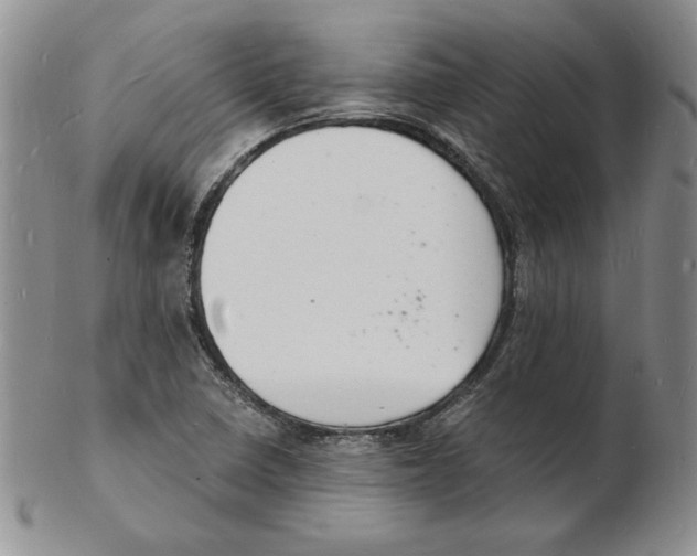 X0000102221410200808221235