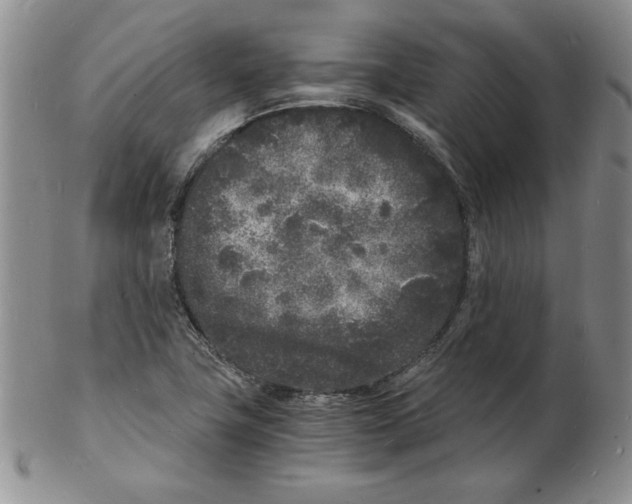 X0000102221411200808221235