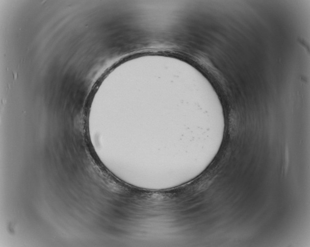 X0000102221412200808221235