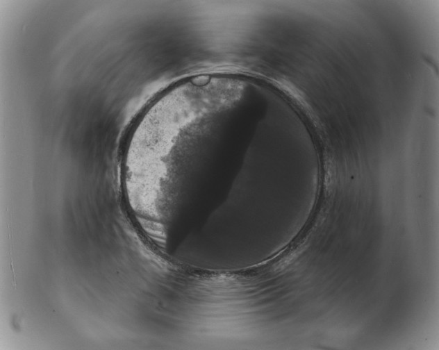 X0000102221414200808221235